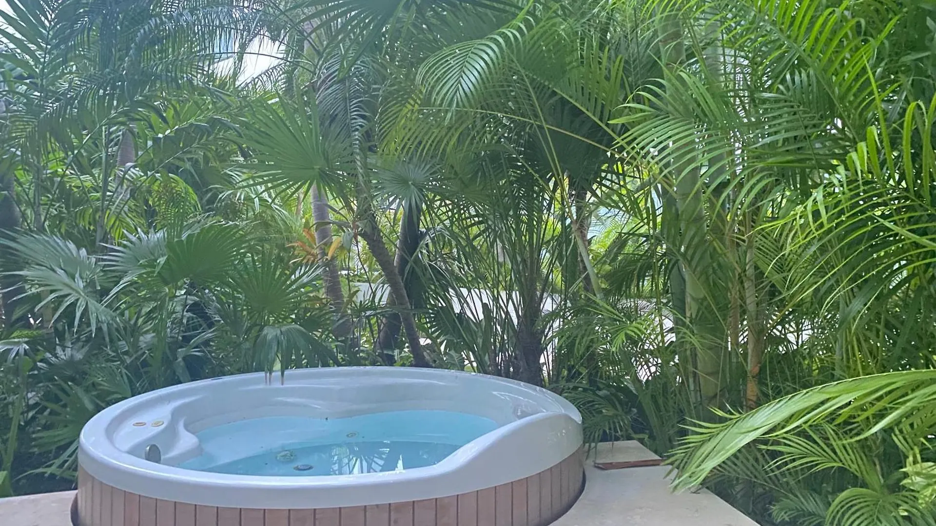 Aparthotel Departamento 2 Recamaras Anah Playa del Carmen